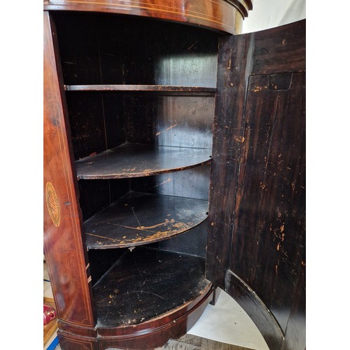 322 - Edwardian mahogany bow fronted floor standing corner cabinet with shelved interior boxwood stringing... 