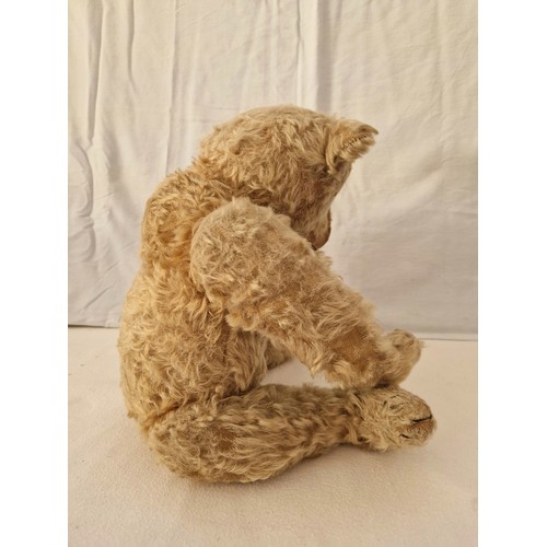 239 - An Edwardian Steiff teddy bear, play worn along with photograph of a boy with possibly the bear, wai... 