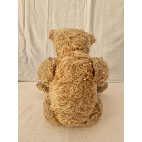 239 - An Edwardian Steiff teddy bear, play worn along with photograph of a boy with possibly the bear, wai... 