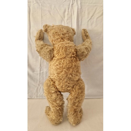 239 - An Edwardian Steiff teddy bear, play worn along with photograph of a boy with possibly the bear, wai... 