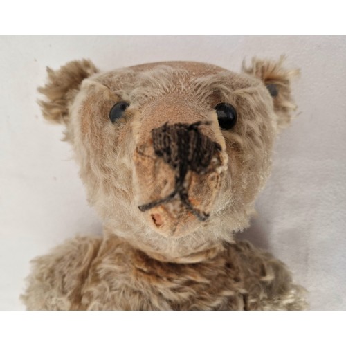 239 - An Edwardian Steiff teddy bear, play worn along with photograph of a boy with possibly the bear, wai... 