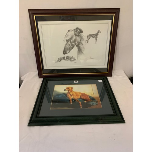 35 - Two prints, studies of Greyhounds