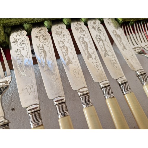 136 - Oak canteen of Sheffield 1899 silver collared, bone handled 6 place fish serve and 6 place hors d’oe... 