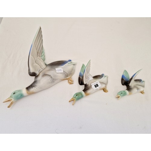 60 - Poole Pottery - a set of three wall mounted, graduated flying mallards