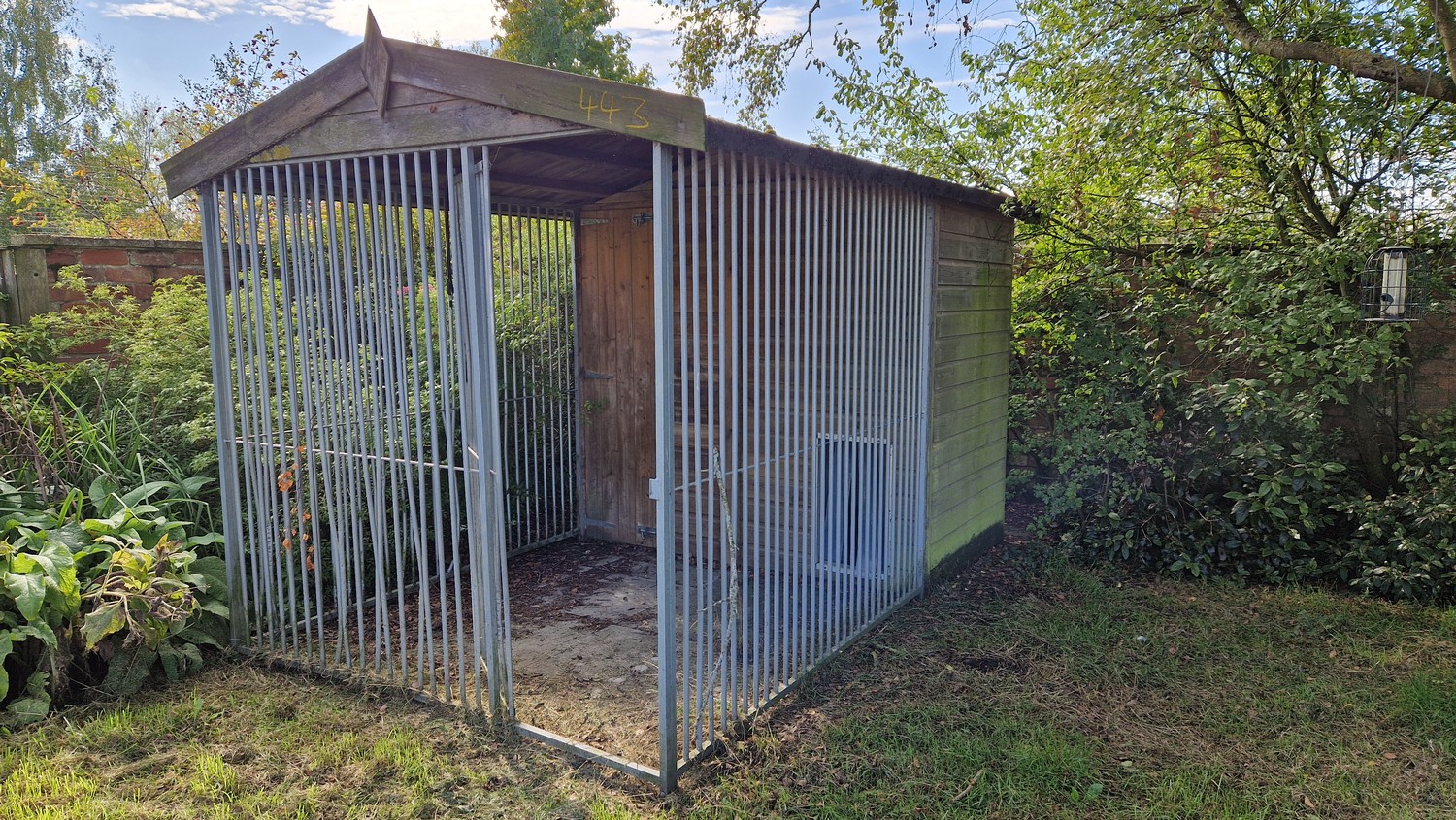 Galvanised and timber felt roof dog run approx. 3.2 m x 2 m (needs re ...
