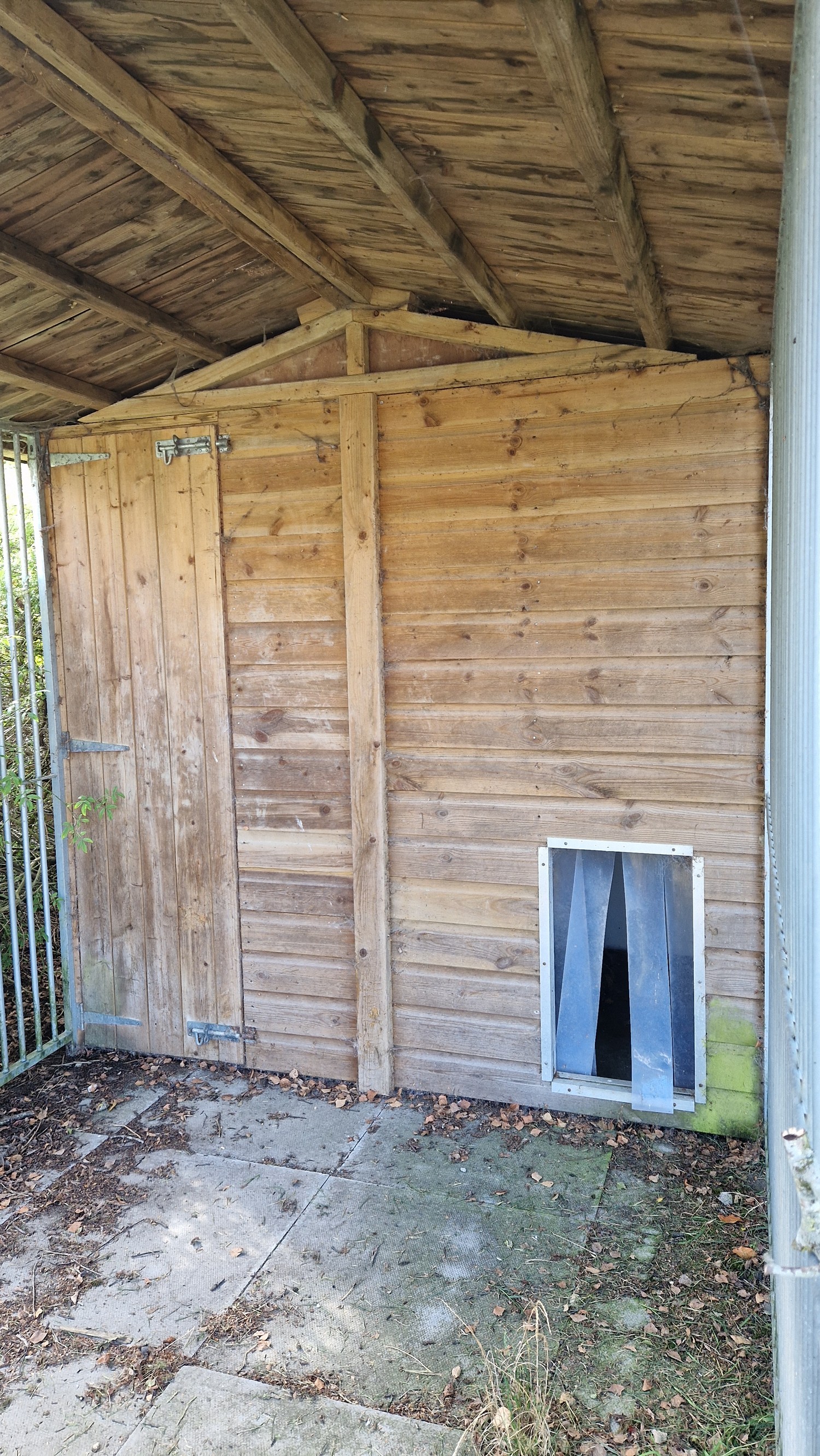 Galvanised and timber felt roof dog run approx. 3.2 m x 2 m (needs re ...