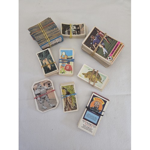 Lot 6         