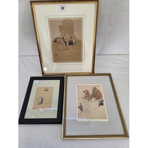 Lot 51        