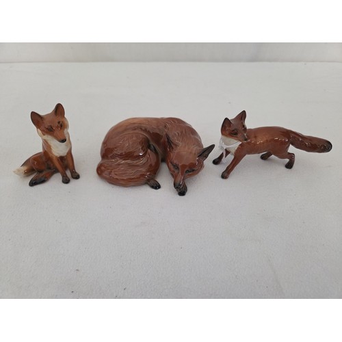 64 - Three Beswick gloss fox figurines
