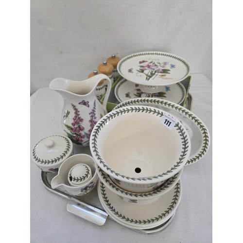 111 - Collection of Portmeirion Botanic Garden tableware and jardinière incl. cruets