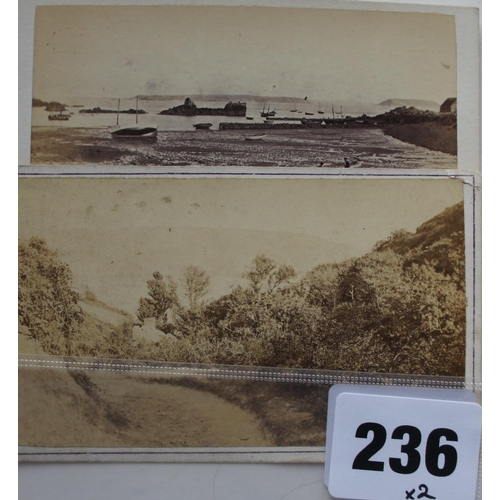 Lot 236       