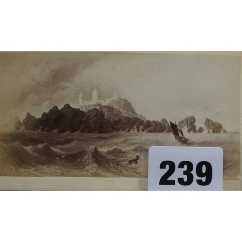 Lot 239       