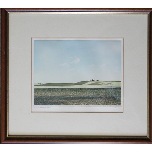 116 - Paul Bisson (British born 1938) Isle of Sheppey, frmed coloured prints, signed in pencil and inscrib... 