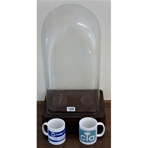 120 - Glass dome on wooden stand, 21 inches high (mugs not included)