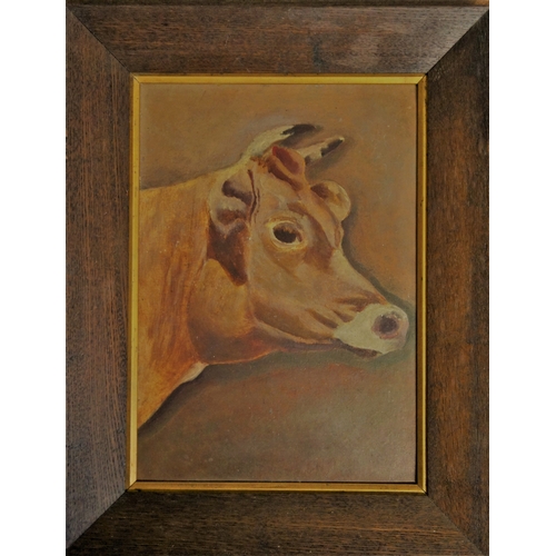 221 - Oil on board of a Guernsey cow in oak frame, 20 x 30cm.