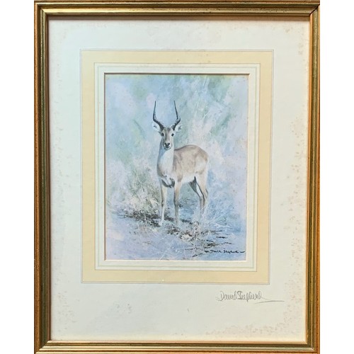 62 - David Shephard, coloured print, IBEX, signed on mount in pencil and further inscribed verso, 19 x 14... 