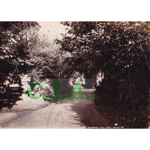 195 - Original photograph Seigneurie Lane, Sark, 32247 JV.