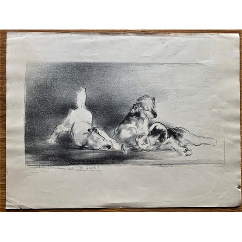 Lot 116       