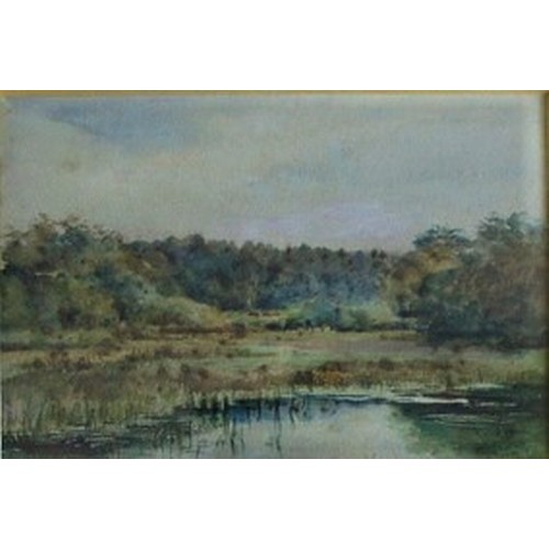 106 - Thomas Nicholson Tyndale (1860-1930) Water meadows, watercolour, signed, 16 x 24 cm.