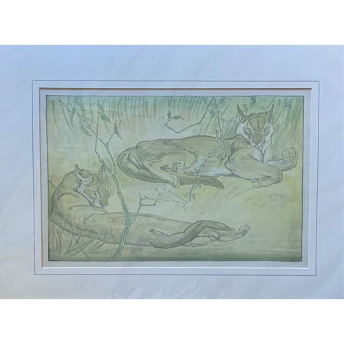 242 - Elsie Marion Henderson (British 1880-1962), Two Pumas at rest, coloured lithograph, 25 x 37 cm. A me... 