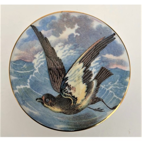 28 - A Prattware pot lid and base, the circular lid with image of a Storm Petrel, 8 cm diameter.