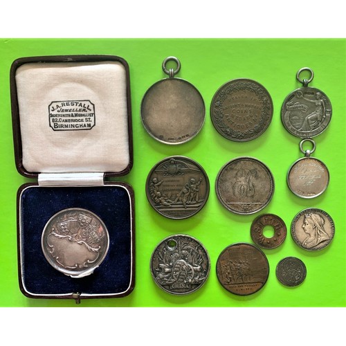 71 - A cased Dog Club medal, Queen Victoria awards plus others (12).