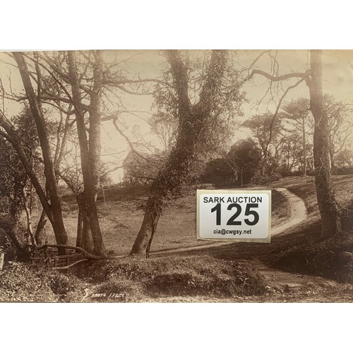 125 - Three photographs by Francis Frith circa 1900, Dixcart Hotel Sark, Dixcart Hotel from the woods, Dix... 