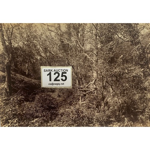 125 - Three photographs by Francis Frith circa 1900, Dixcart Hotel Sark, Dixcart Hotel from the woods, Dix... 