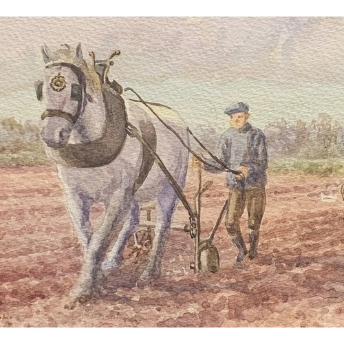 144 - Margaret Waller FIAL (British 1916-1997)  Ploughing scene on Sark, watercolour, signed, unframed 25 ... 