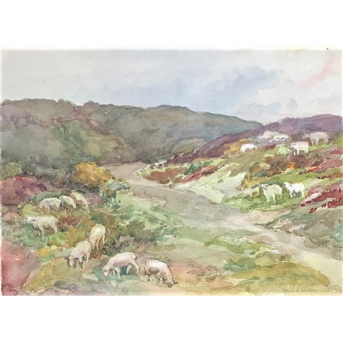 171 - Alice Emily Waller (British 1884-1973)  Sheep grazing on L'Eperquerie Common Sark, watercolour, sign... 