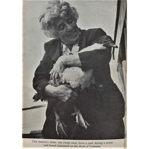 258 - Birds of the Storm, The story of Marjorie Ozanne's Bird Hospital in Guernsey, by Vivian Coltman.