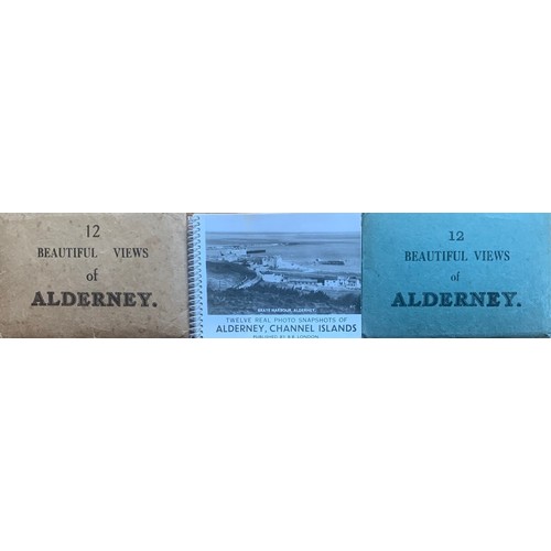 103 - A collection of Alderney books Including Alderney Railway, pamphlets, photos and ephemera.