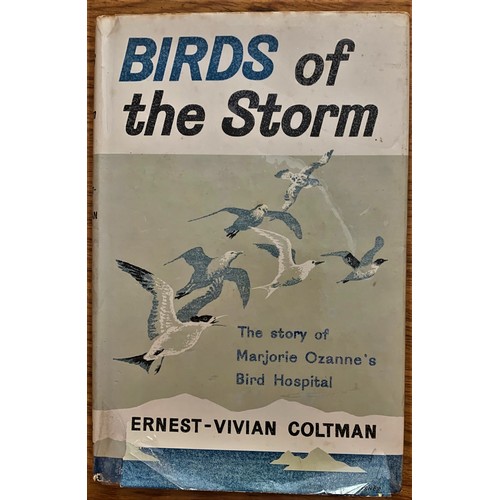 235 - Birds of the Storm, The story of Marjorie Ozanne's Bird Hospital in Guernsey.