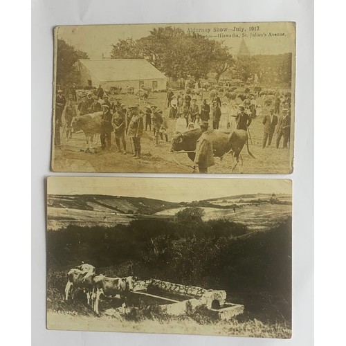 Lot 10        