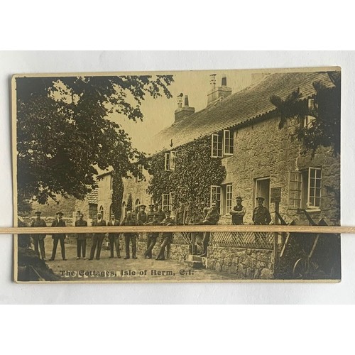 Lot 12        