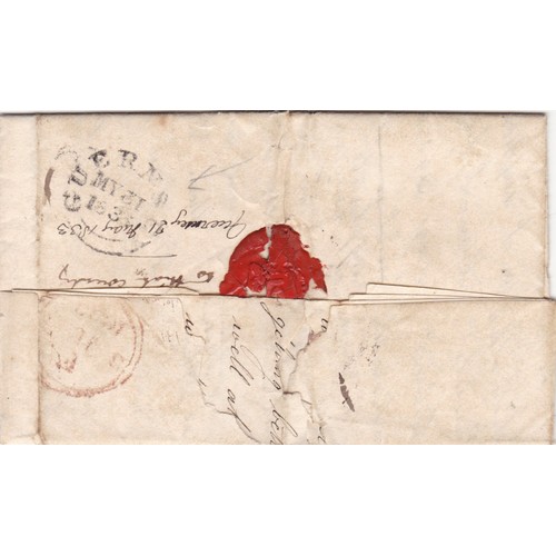 Lot 20        