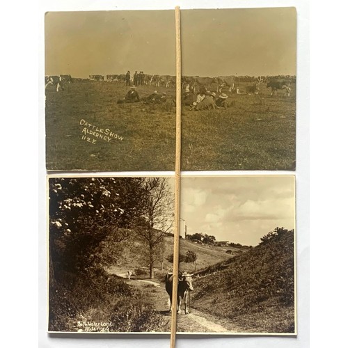 Lot 63        