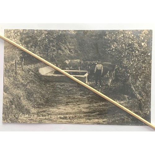 Lot 70        