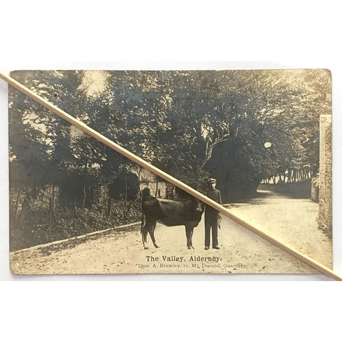 Lot 71        