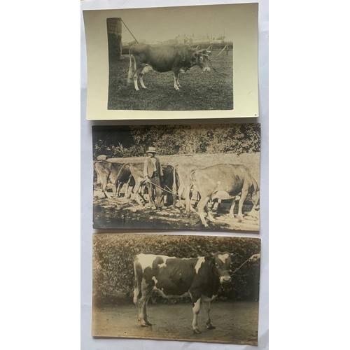 Lot 123       