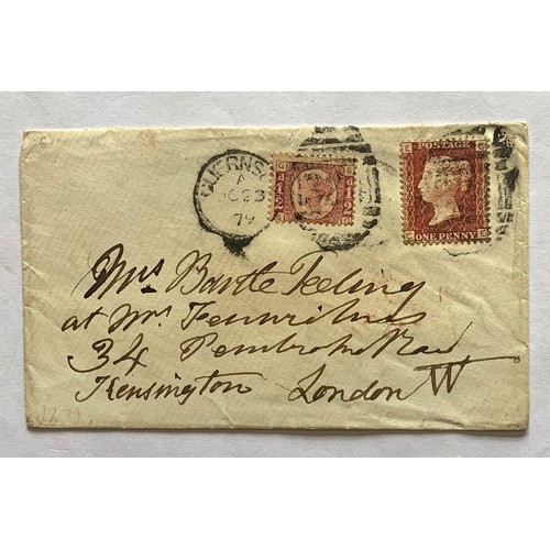 Lot 137       