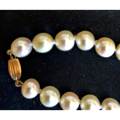 69 - Cultured pearl single string necklace with 9ct gold clasp, 77cm long.