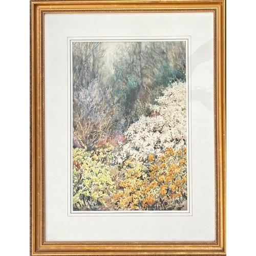 44 - William John Caparne (British 1853-1940) Garden shrubs, watercolour, signed, 93 x 36cm.