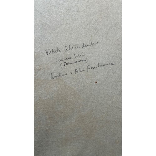 44 - William John Caparne (British 1853-1940) Garden shrubs, watercolour, signed, 93 x 36cm.