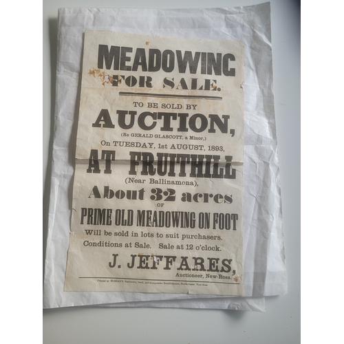 78 - 2 posters; Notice of auction at Fruithill Wexford (1893) and a notice of sale at Cooleen co. Kilkenn... 