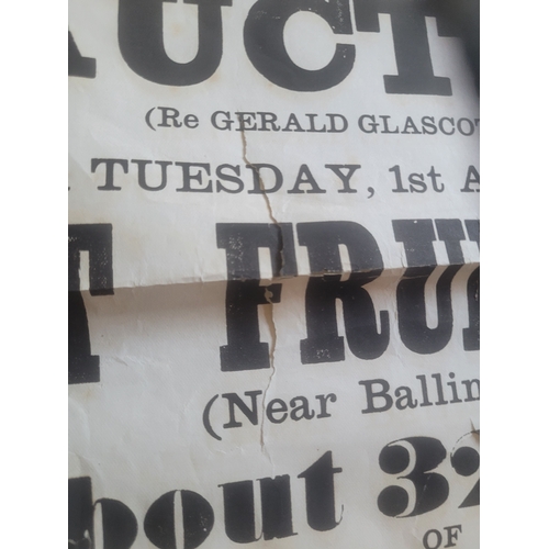 78 - 2 posters; Notice of auction at Fruithill Wexford (1893) and a notice of sale at Cooleen co. Kilkenn... 