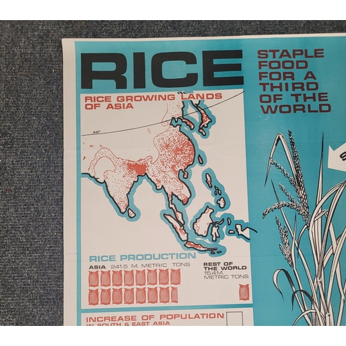 94 - Poster Wall Chart. Rice. Staple Food for a Third of the World.

30 x 40 inches