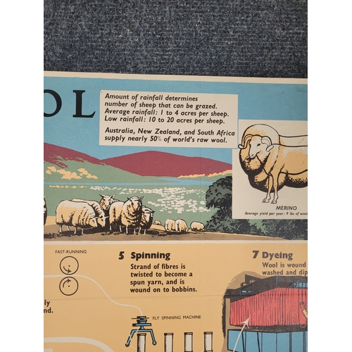 97 - Vintage educational poster on Wool Production. Harrap Brothers

20 x 30 inches