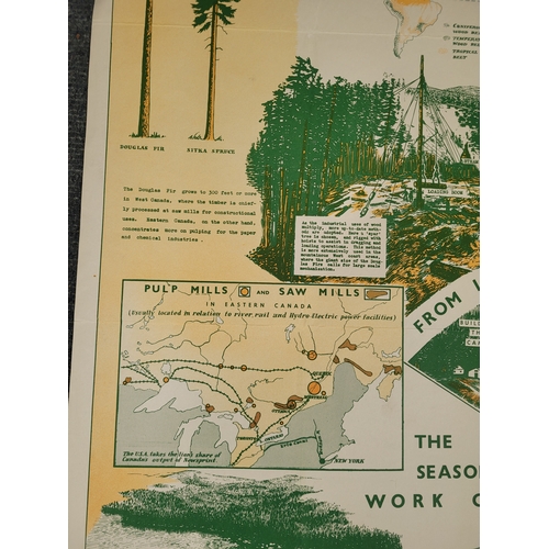 111 - Poster about Canadian Forest Products and Coniferous  Forests..
30 x 40 inches