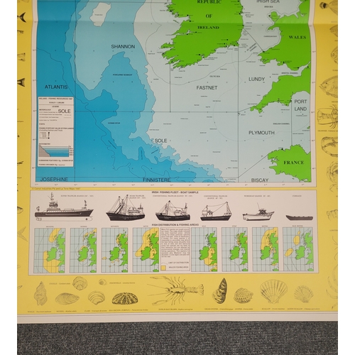 123 - Ireland Fishing Resources 1987 -  Presented by Carrolls.